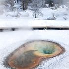 Yellowstone Mineral Pool