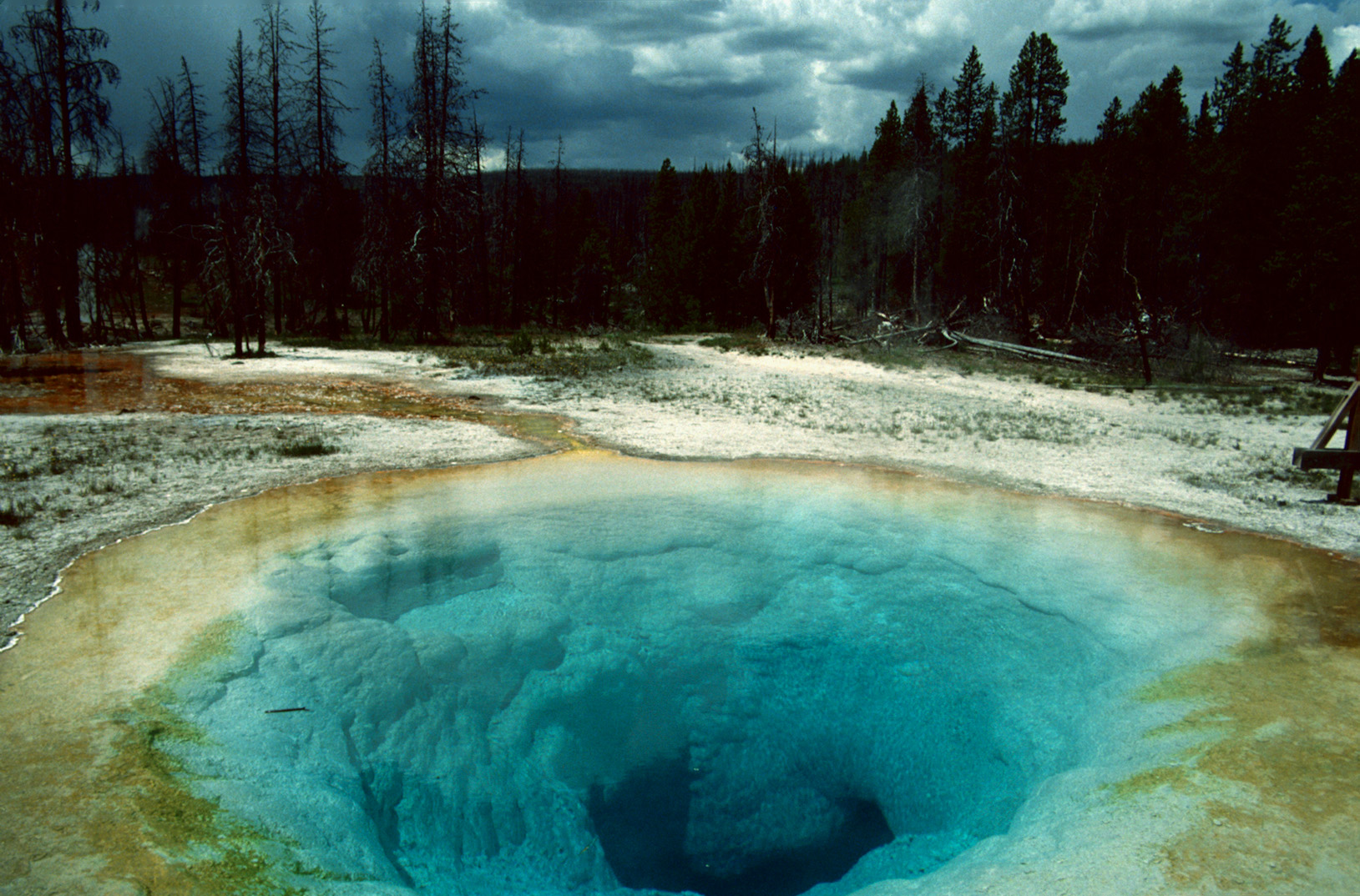 Yellowstone N. P., WY - 1993 (2)