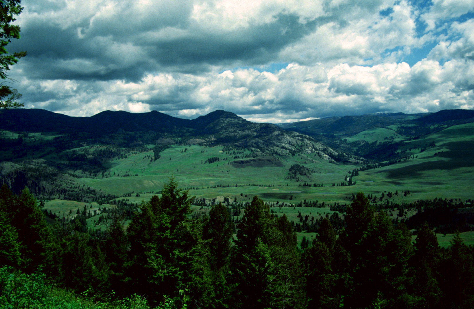 Yellowstone N. P., WY - 1993 (3)