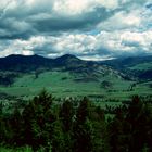 Yellowstone N. P., WY - 1993 (3)