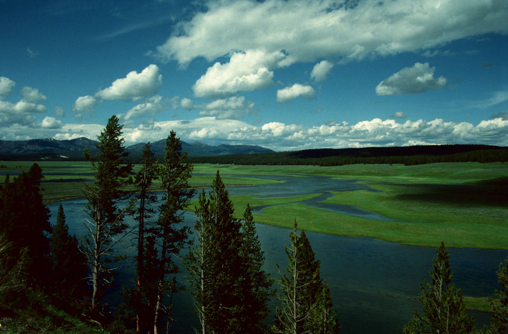 Yellowstone N. P., WY - 1993 (4)
