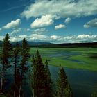 Yellowstone N. P., WY - 1993 (4)