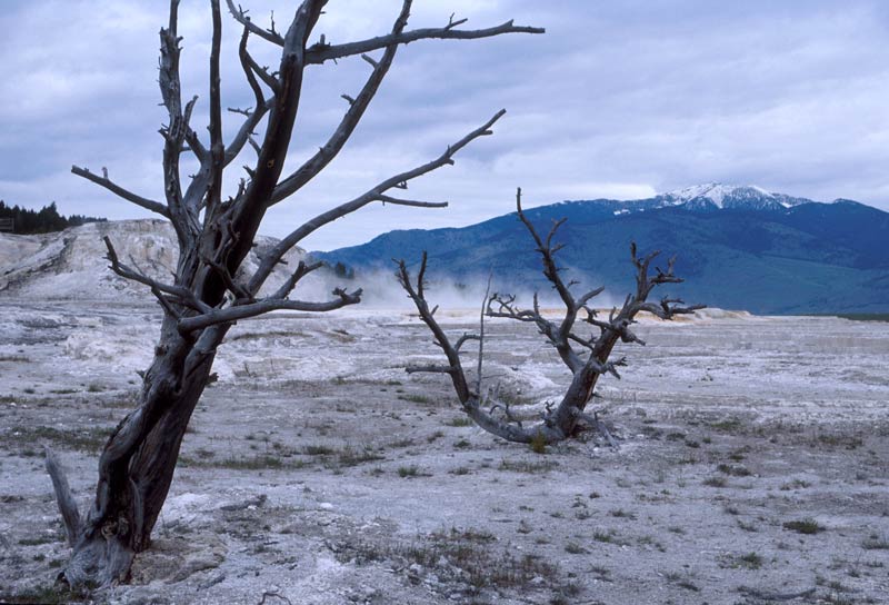 Yellowstone National Park