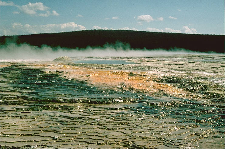 Yellowstone National Park (1)