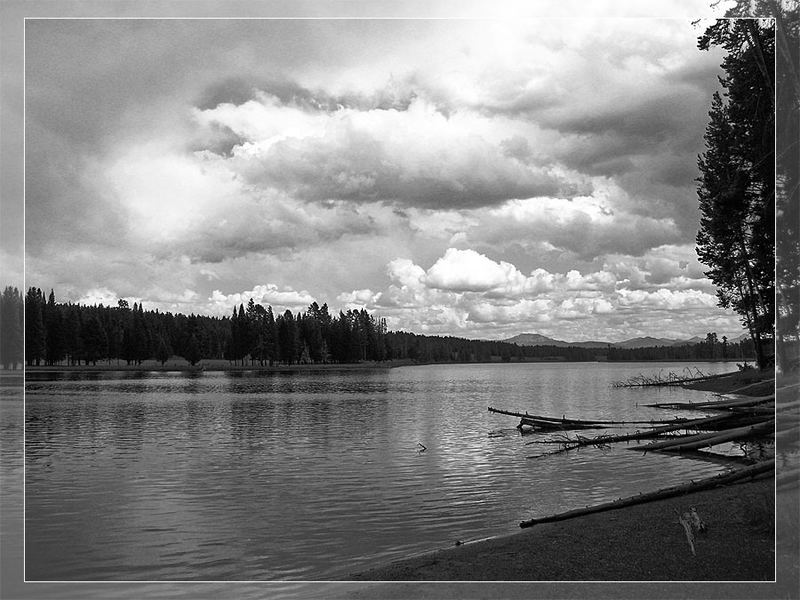 yellowstone national park