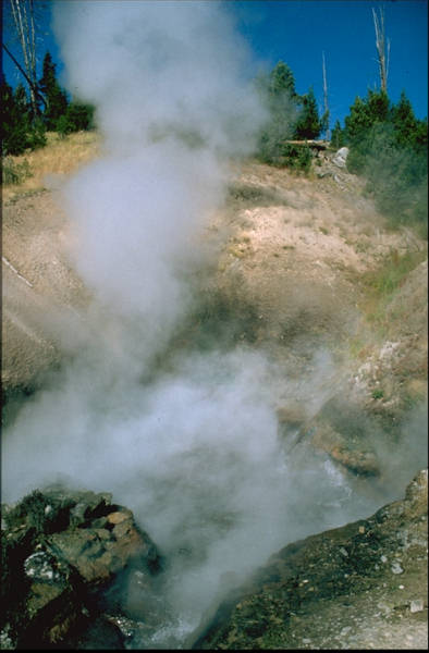 Yellowstone National Park