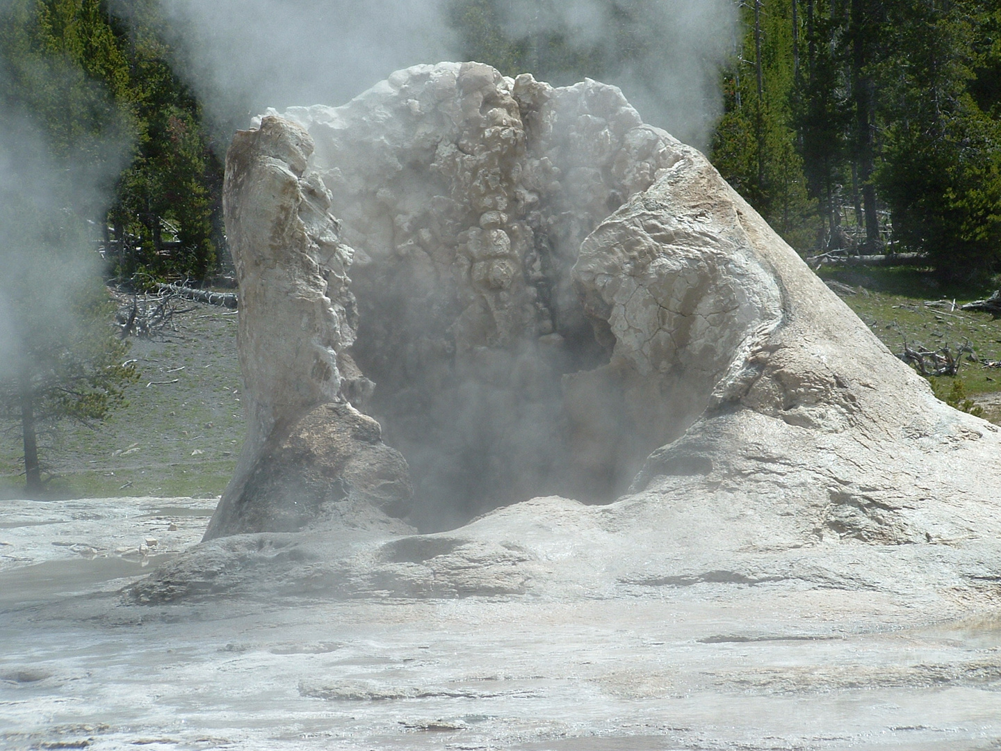 Yellowstone National Park