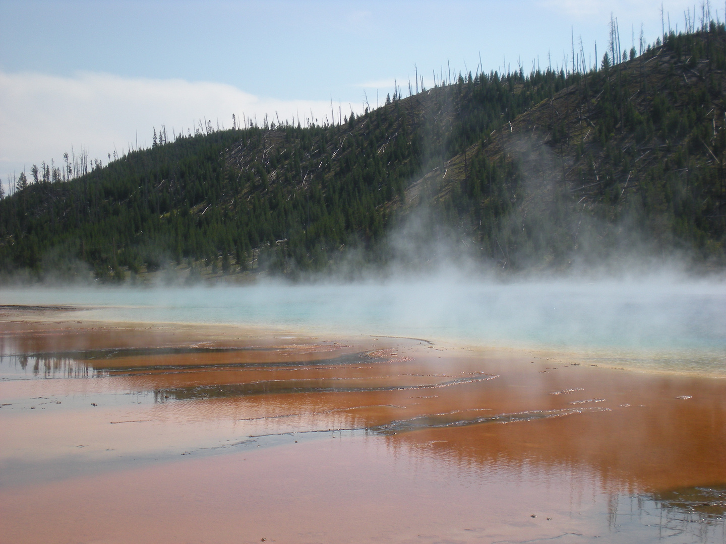 Yellowstone national park