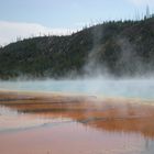 Yellowstone national park