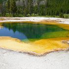 Yellowstone National Park