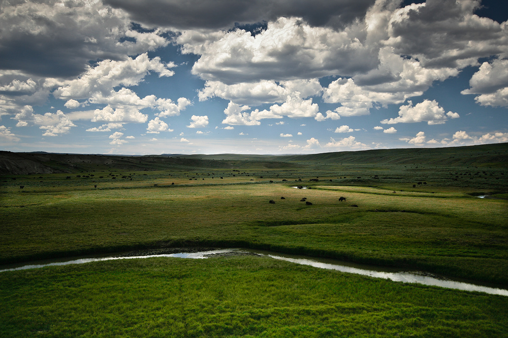 Yellowstone National Park