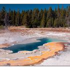 Yellowstone National Park