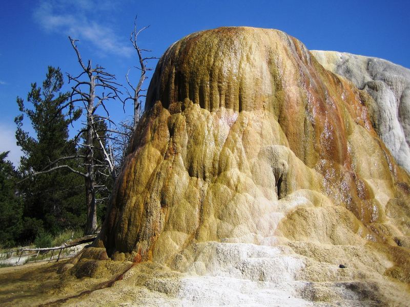 Yellowstone National Park