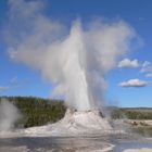 Yellowstone National Park - Castle Geyser