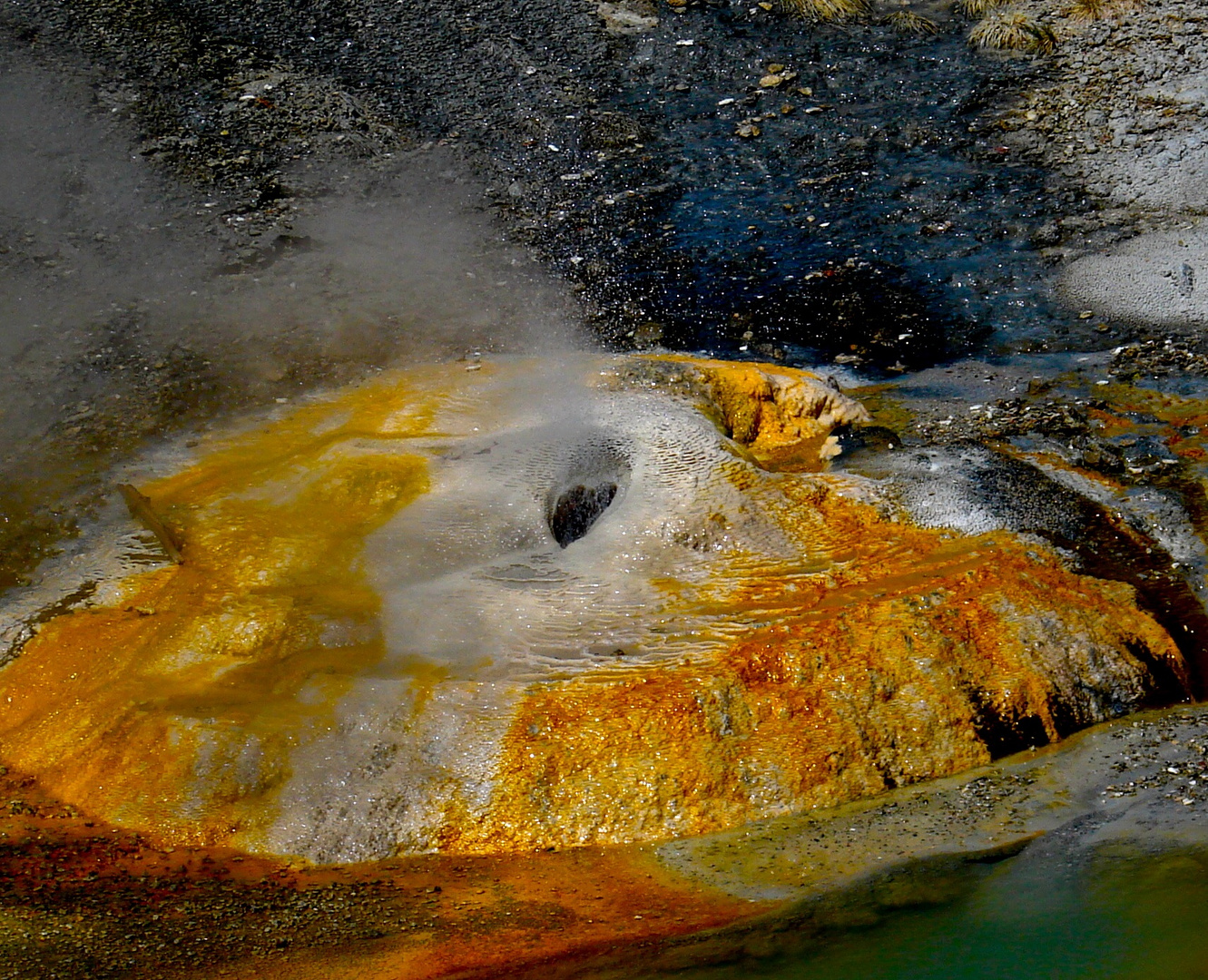 Yellowstone National Park--im Norris Geyser Basin Foto ...