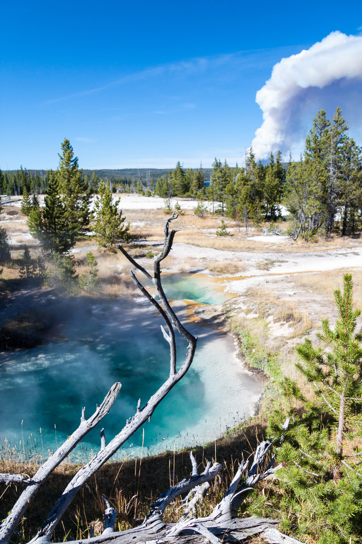 Yellowstone Nationalpark