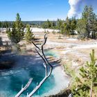 Yellowstone Nationalpark