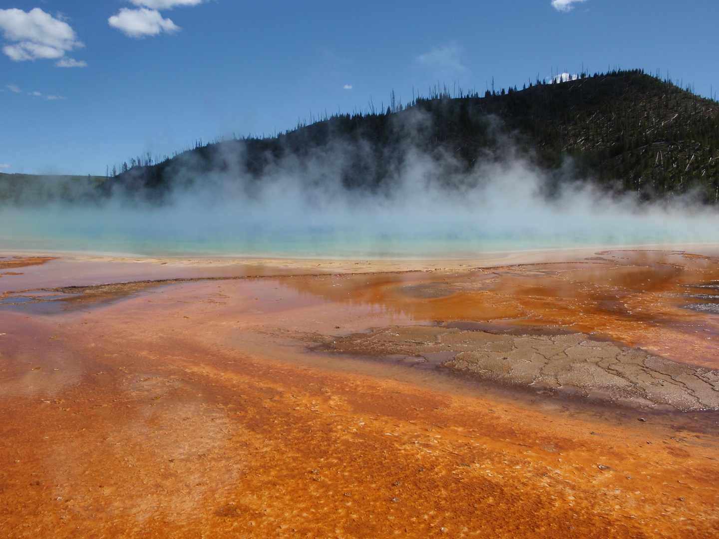 Yellowstone Nationalpark