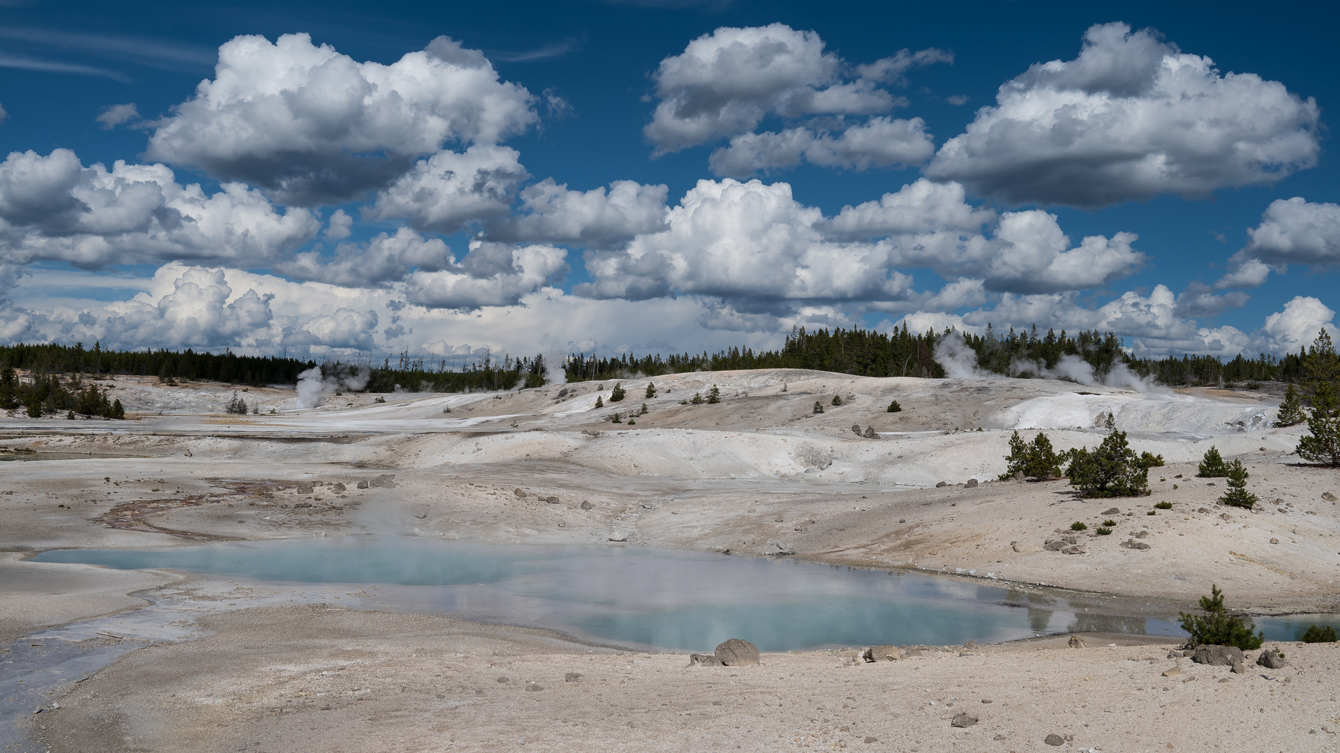 Yellowstone Nationalpark - Grand Geyser-Basin