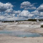 Yellowstone Nationalpark - Grand Geyser-Basin