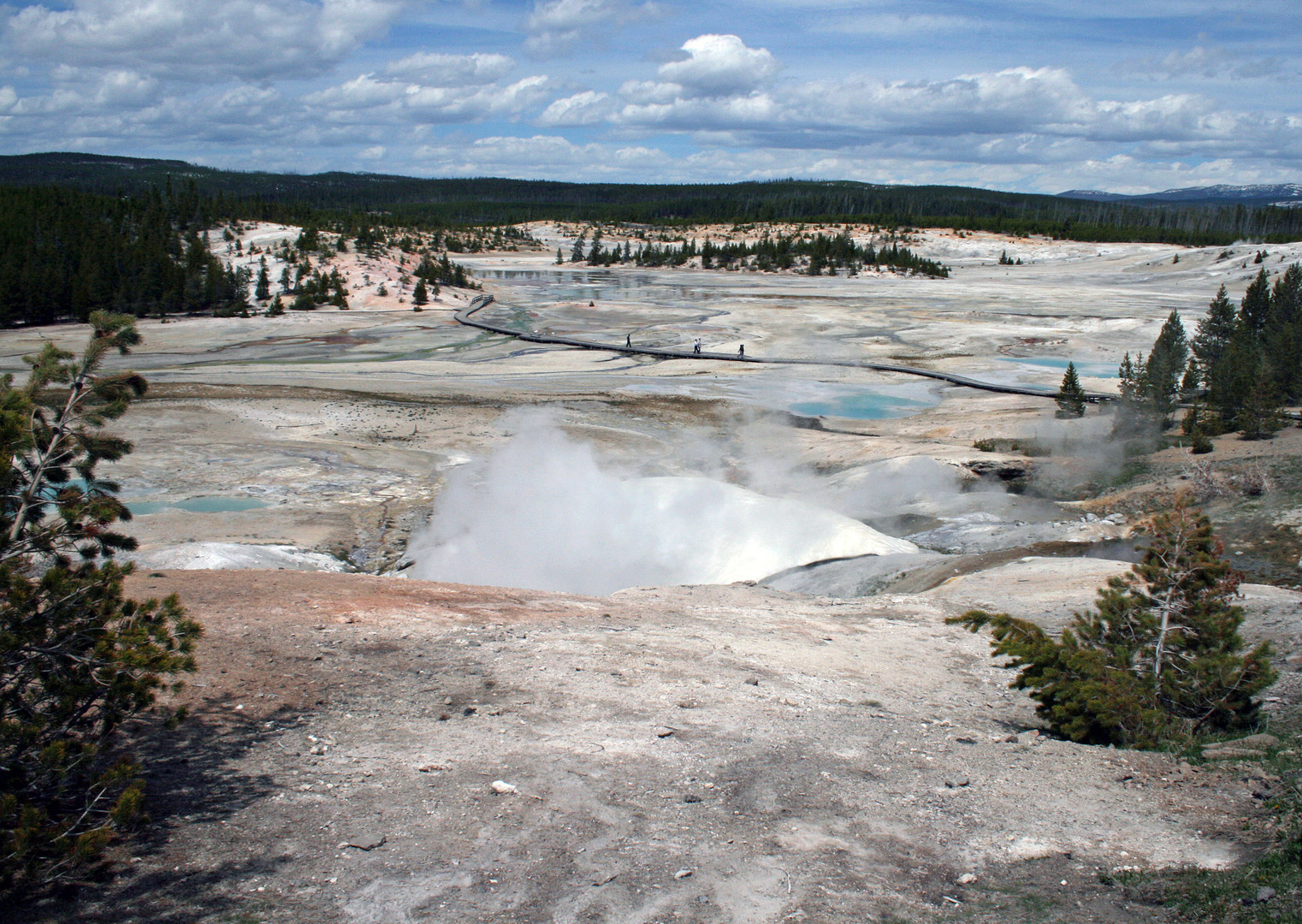 Yellowstone Nationalpark USA*