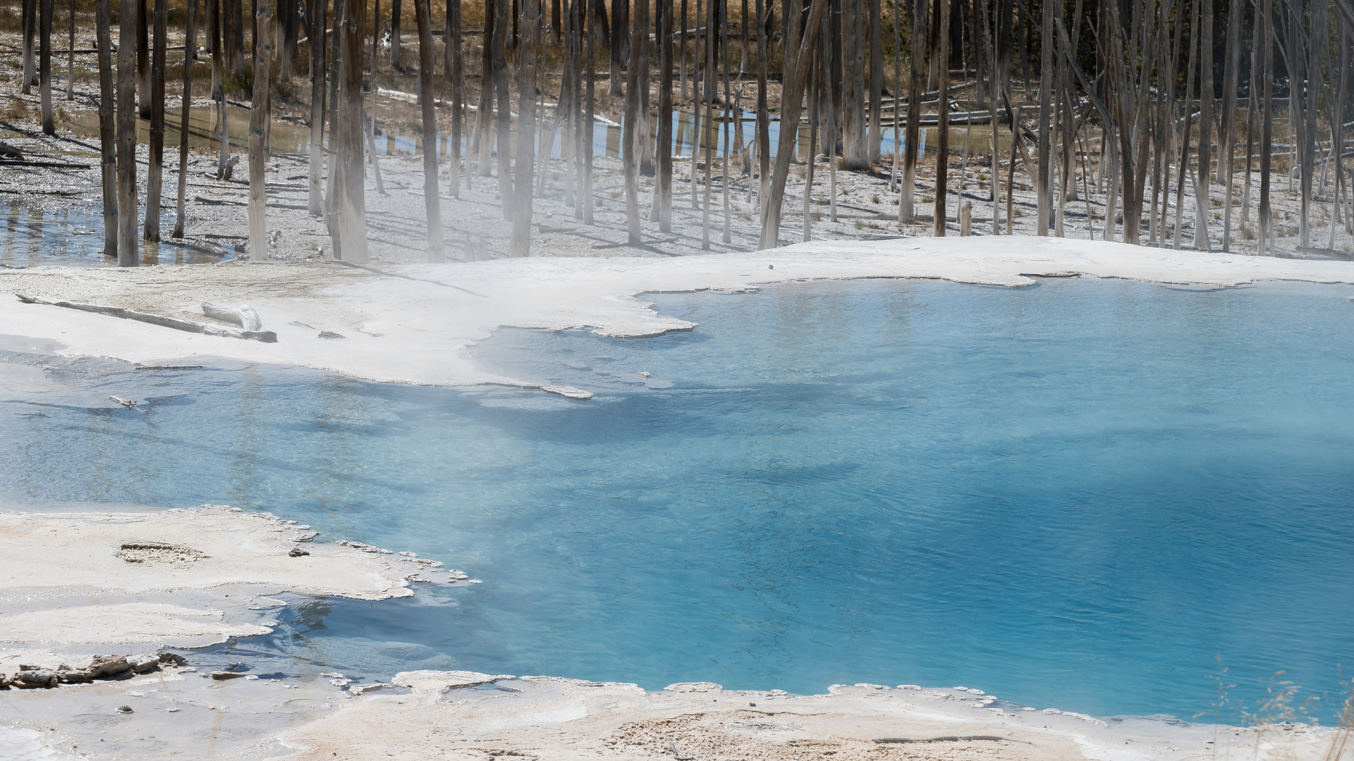 Yellowstone Nationalpark USA - Norris Geysir Becken