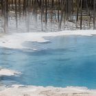 Yellowstone Nationalpark USA - Norris Geysir Becken