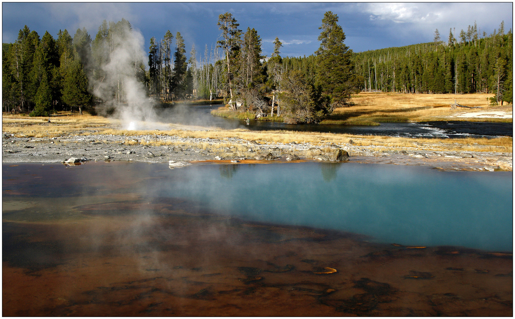 Yellowstone NP # 07