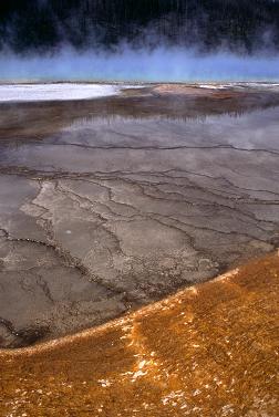 Yellowstone NP