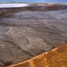 Yellowstone NP