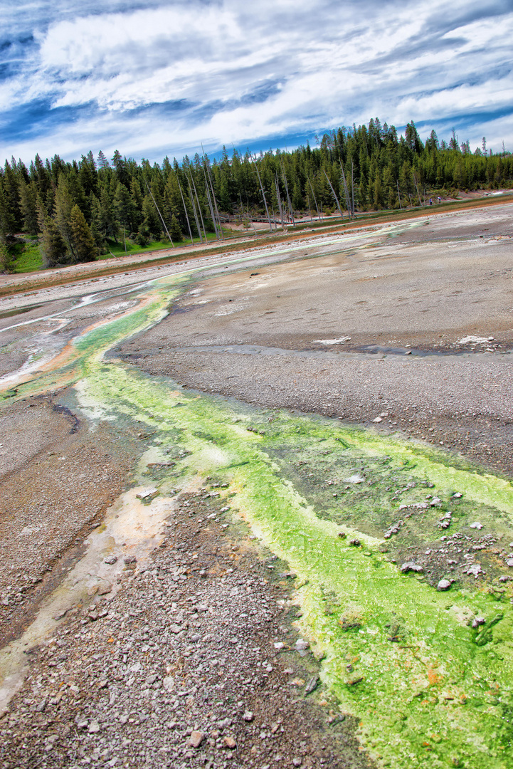 Yellowstone NP