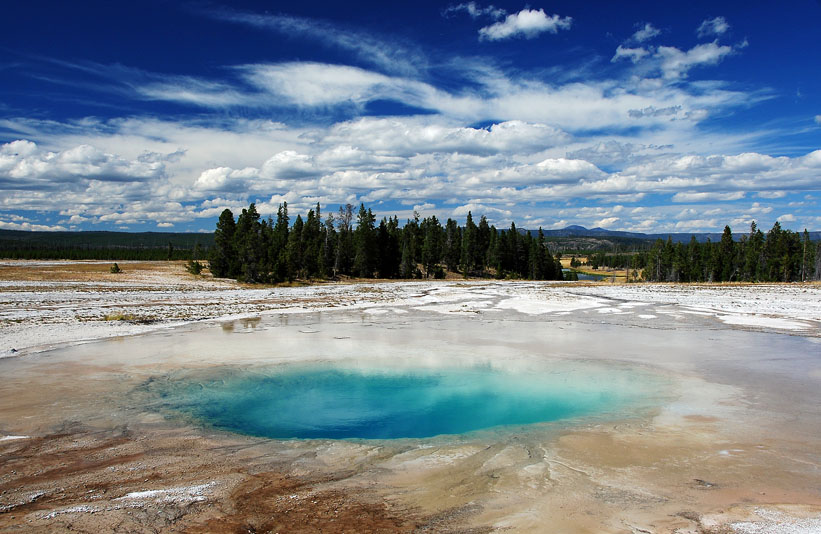 Yellowstone NP, 2008