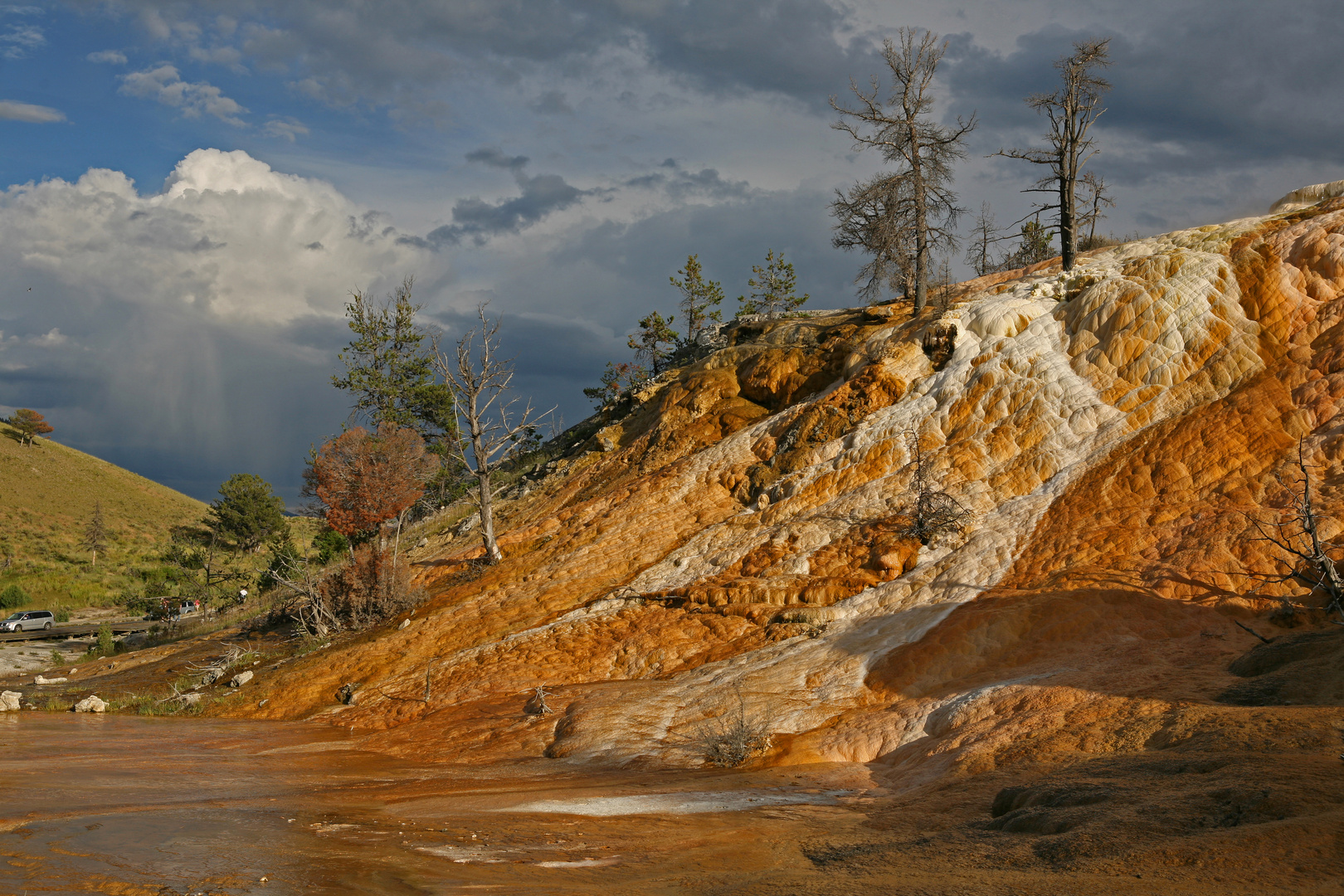 Yellowstone NP