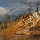 Yellowstone NP