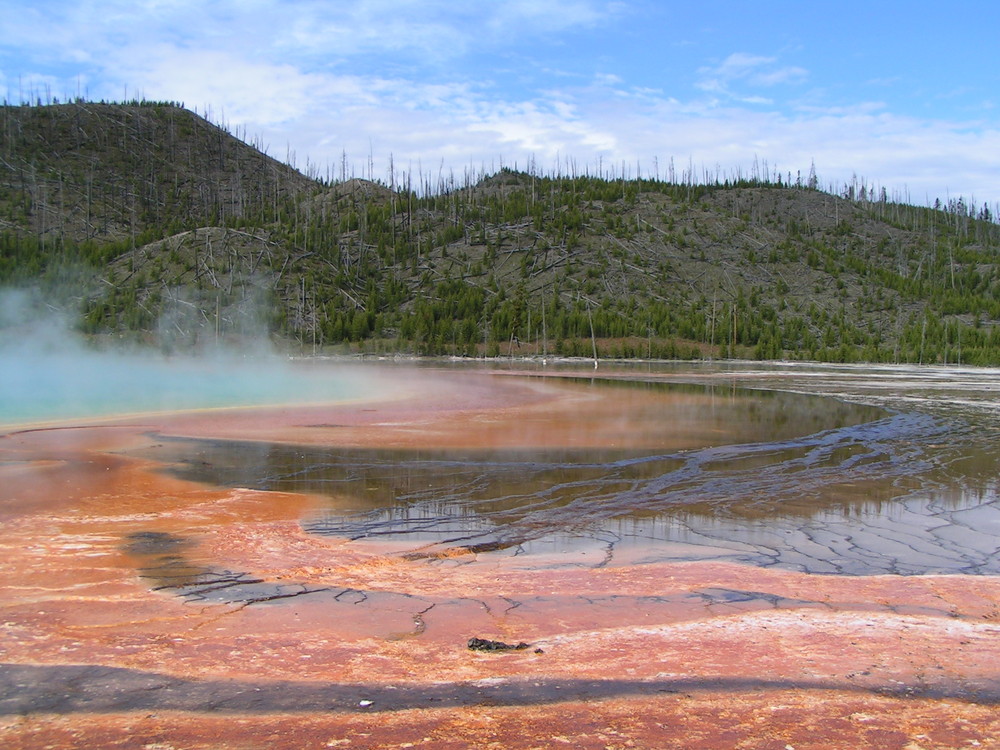 Yellowstone N.P.