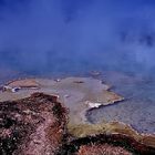 Yellowstone NP