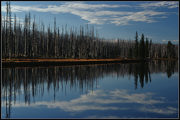 Yellowstone NP