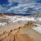 Yellowstone N.P.