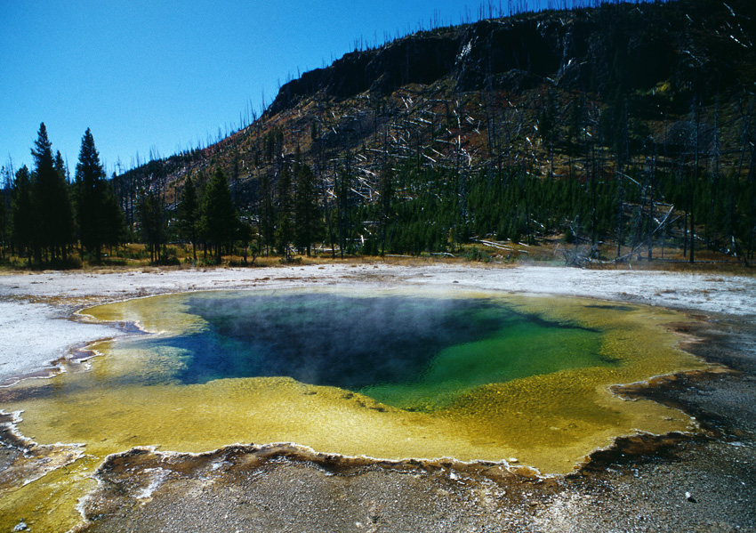 Yellowstone NP