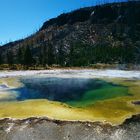 Yellowstone NP