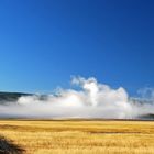 Yellowstone NP