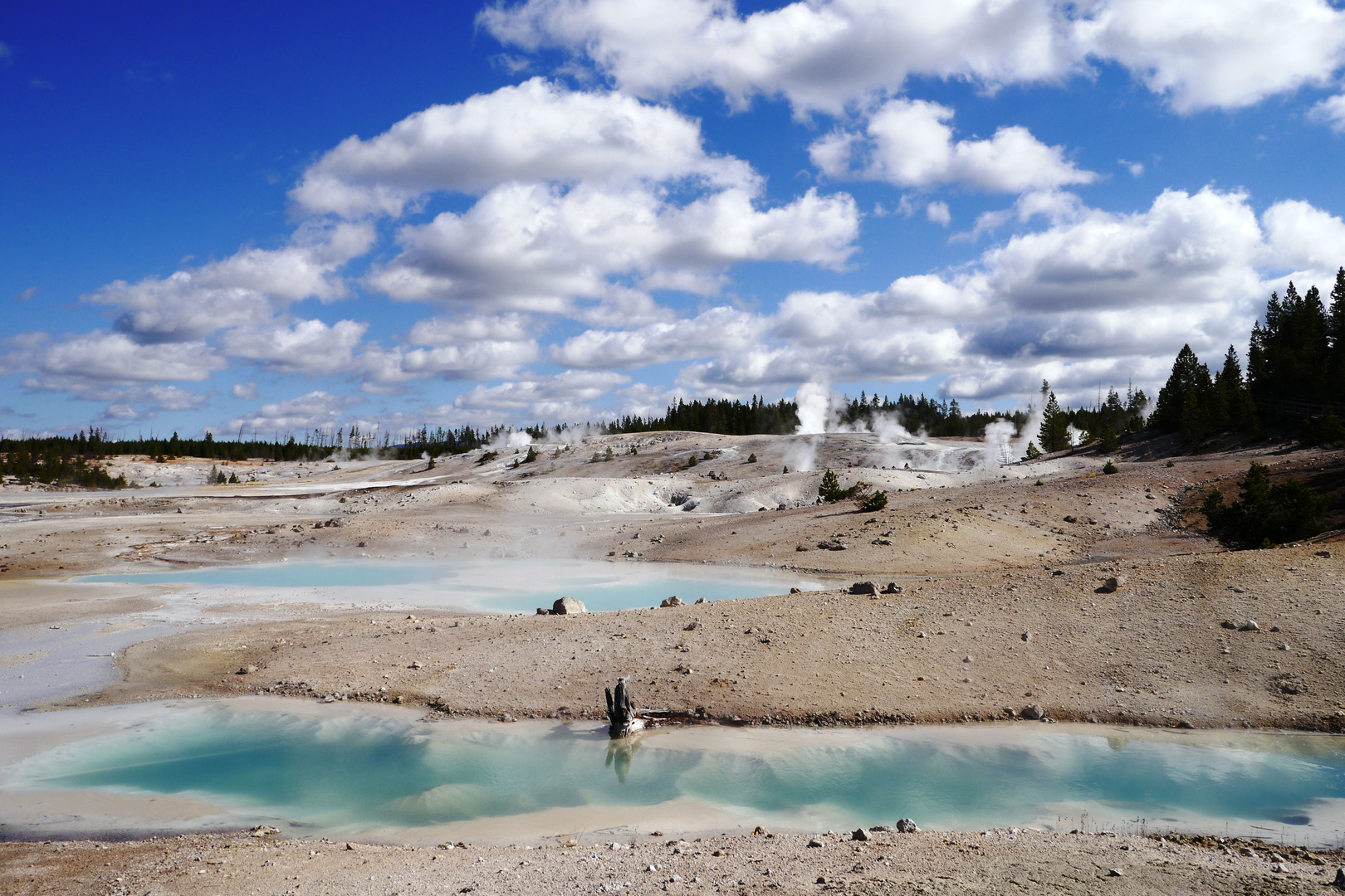 Yellowstone NP