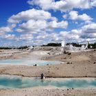 Yellowstone NP