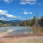 Yellowstone NP