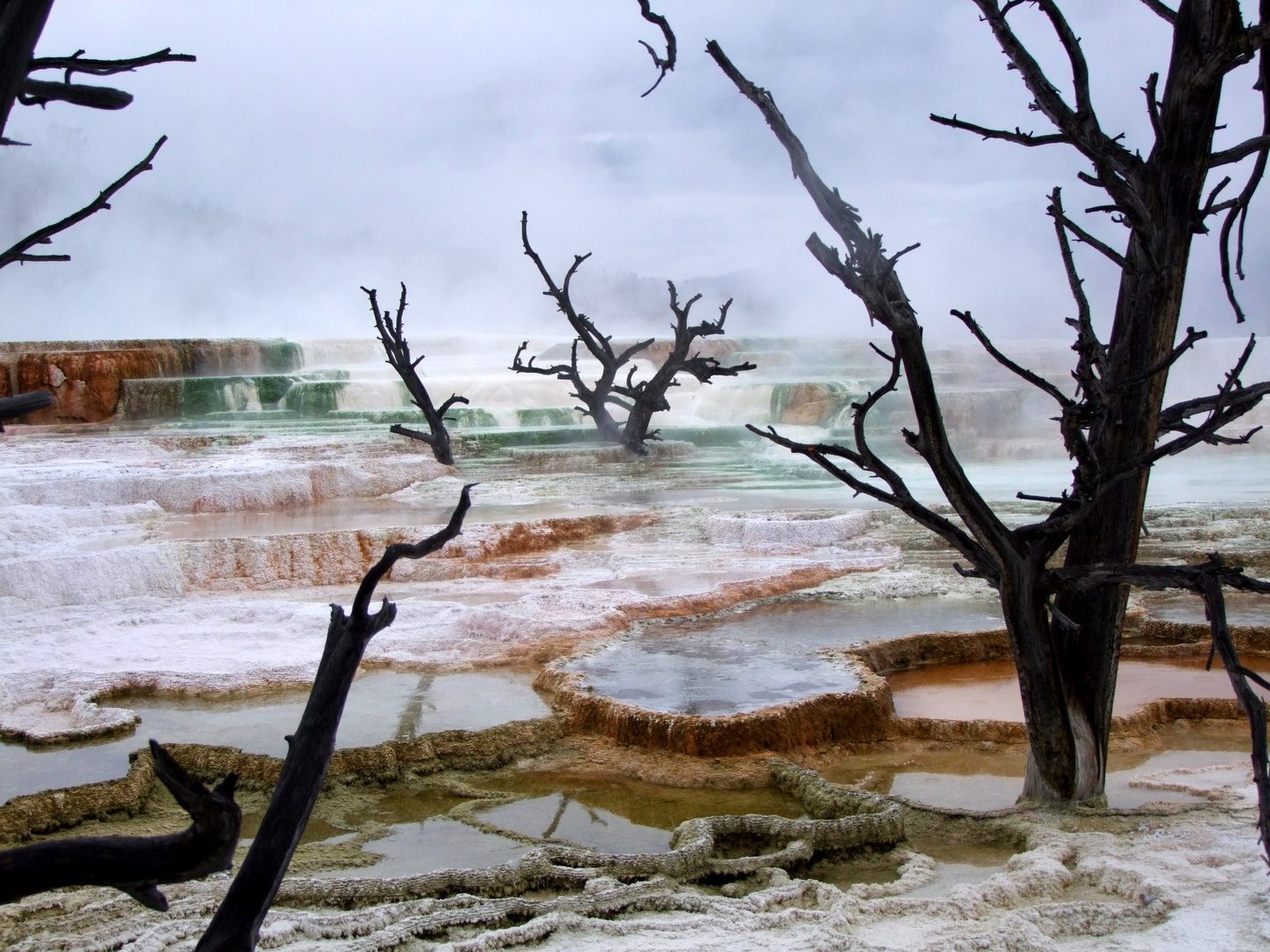 YellowStone NP