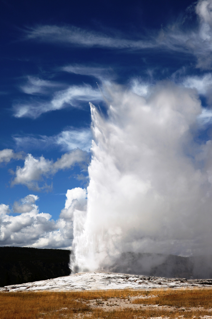 Yellowstone NP