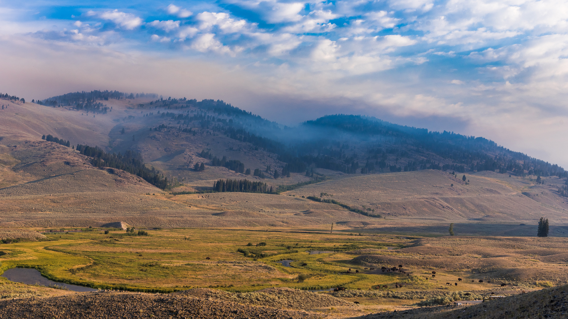 Yellowstone NP