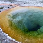 Yellowstone NP