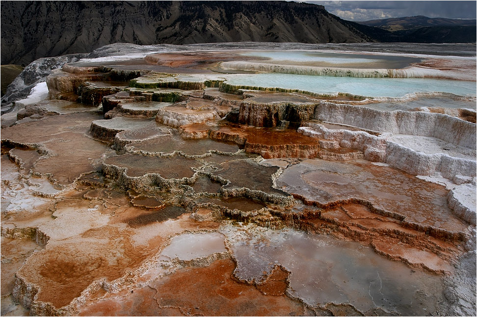 Yellowstone N.P.