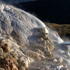 Yellowstone NP